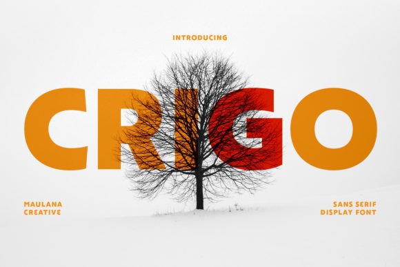 Crigo Font: Bold Display Typography for Web Design